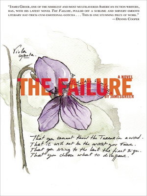 cover image of The Failure